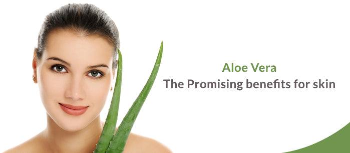 Aloe Vera: The Promising benefits for skin - SavarnasMantra